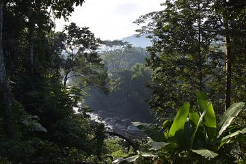 Jungle View van Bianca ter Riet