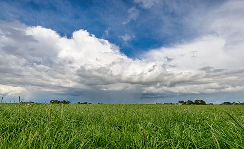 Hollandse wolkenluchten boven de polder
