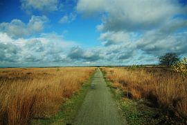 Fochteloërveen by Jessica Wy