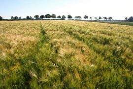 Limburger Landschaft. von Chantal Hoofs
