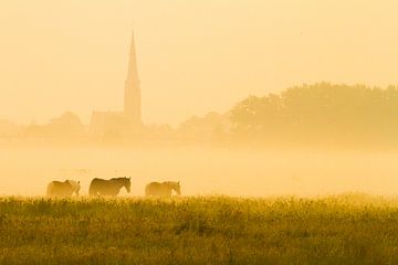 Paarden in de mist met kerktoren op achtergrond van Menno van Duijn