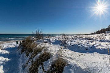 Winter: Dünen, Schnee am Strand in Juliusruh auf Rügen