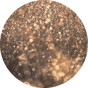 Terletse heide part 9