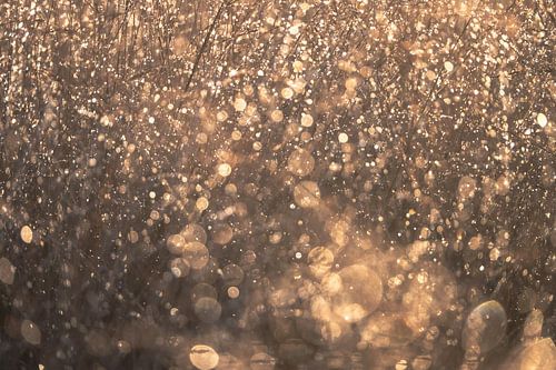 Terletse heide part 9