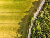 Boeren akker bij zonsondergang van Cynthia Hasenbos thumbnail