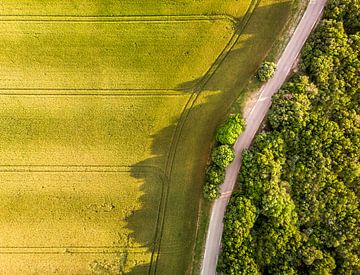 Landwirte fangen bei Sonnenuntergang auf