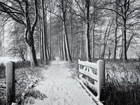 Hek en bospad in de sneeuw, Chateau Marquette