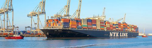 Containerschepen in de haven van Rotterdam