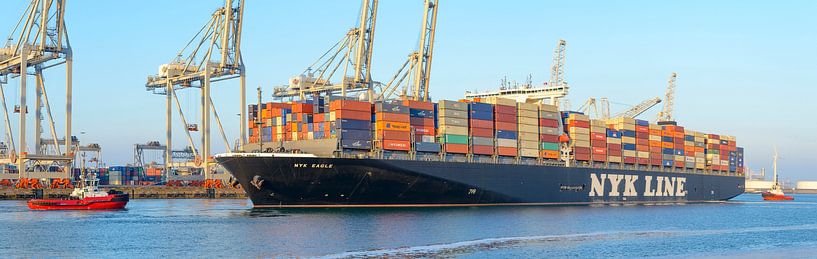 Containerschiff an einem terminal im Rotterdam Hafen von Sjoerd van der Wal Fotografie