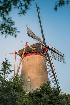 Le moulin de Rhenen sur Max ter Burg Fotografie