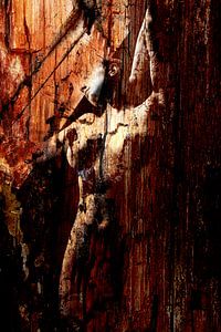 Redwood