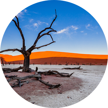 Versteende boom in Dodevlei / Deadvlei nabij de Sossusvlei, Namibië van Martijn Smeets
