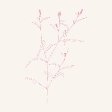 Romantische botanische tekening in neonroze op wit nr. 11 van Dina Dankers