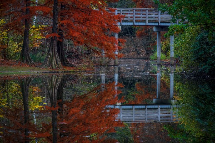 Wandelbos in Tilburg schön und herbstlich von Danielle de Graaf