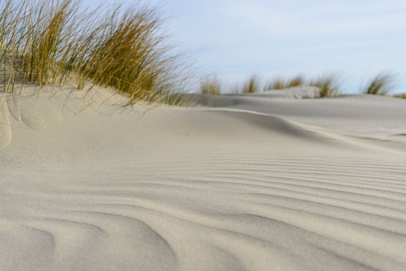Kleine Dünen am Strand von Sjoerd van der Wal Fotografie