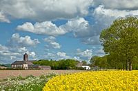 Rapsfelder und das Dorf Sinderen