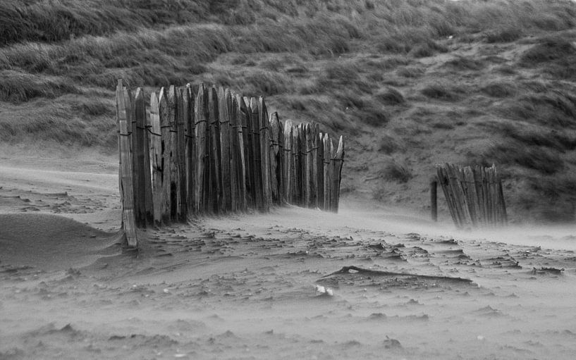 Storm on the beach van Robert Stienstra