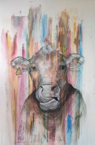 KUH ROSI / Schwarzwald / SDAW