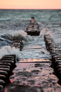 Ostsee: Strand mit Buhnen bei Ahrenshoop  im Abendrot