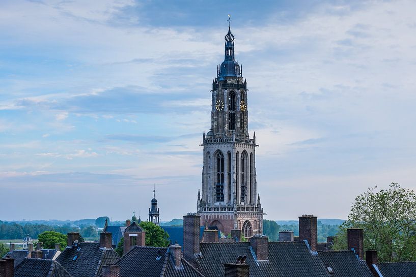 Bewölkte Zaunralle von Max ter Burg Fotografie