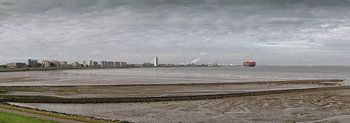 Terneuzen - Skyline - Waterfront - avec porte-conteneurs