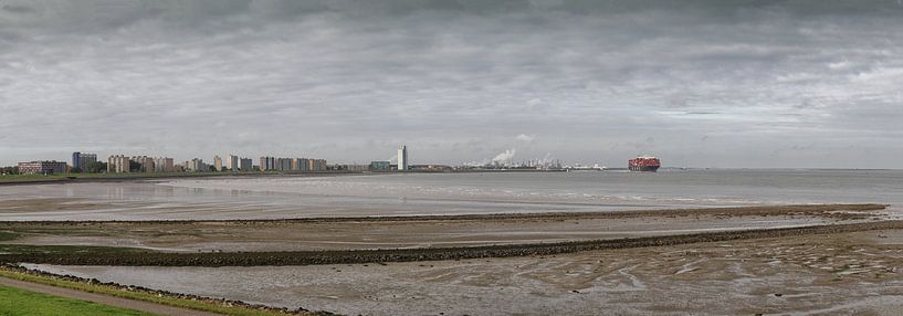 Terneuzen - Skyline - Waterfront - Panorama foto - met containerschip van Pixelatestudio Fotografie