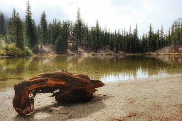 Mammoth Lakes, United States van Colin Bax