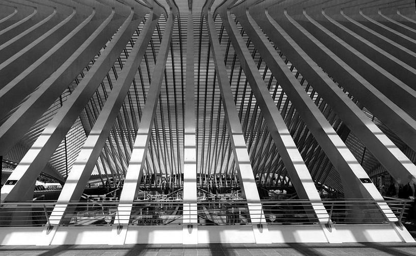 Treinstation GUILLEMINS LUIK par M  van den Hoven