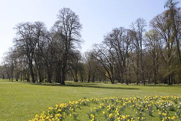 Bad Kissingen kuurpark in de lente