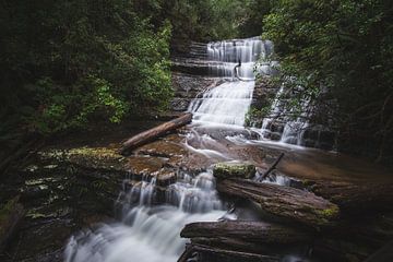 Lady Barron Falls von Ronne Vinkx