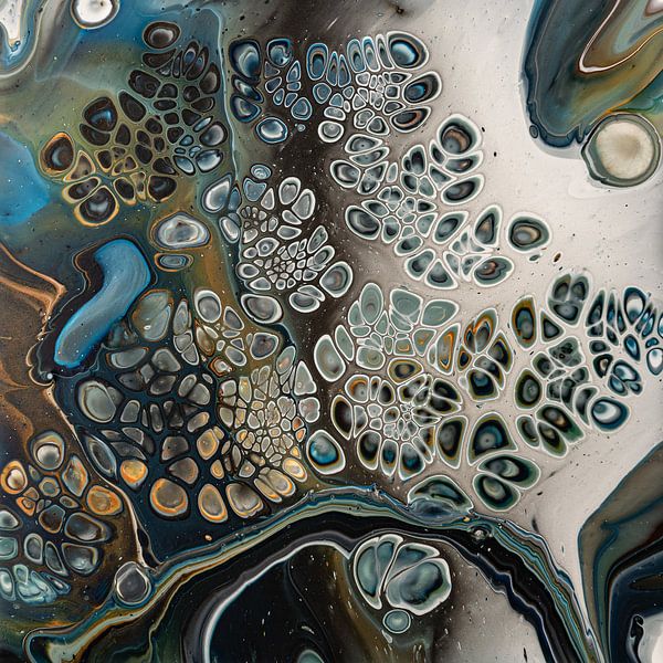 Geode und Zellen. von Ilse Smit