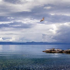 Wolken über dem Genfer See von Maarten Visser