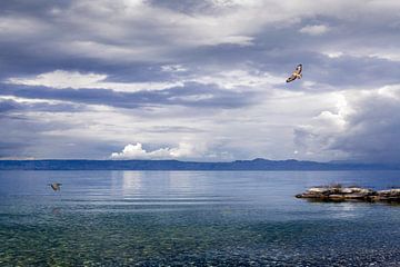 Wolken über dem Genfer See