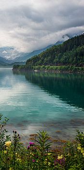 Réflexion des montagnes et des nuages (partie 3 du triptyque)