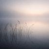 Nebel am See von Christina Bauer Photos