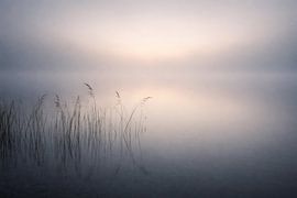 Brouillard au bord du lac sur Christina Bauer Photos