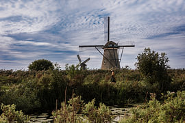 Windmill in the polder by Dolinda Dupont