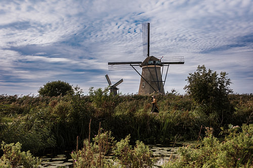 Mühle im Polder