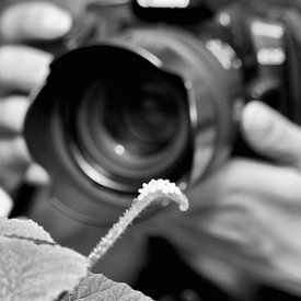 Dandu  Fotografie Profilfoto