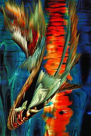 Out of the track by Holger Debek