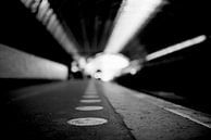 Platform by Bart Rondeel thumbnail