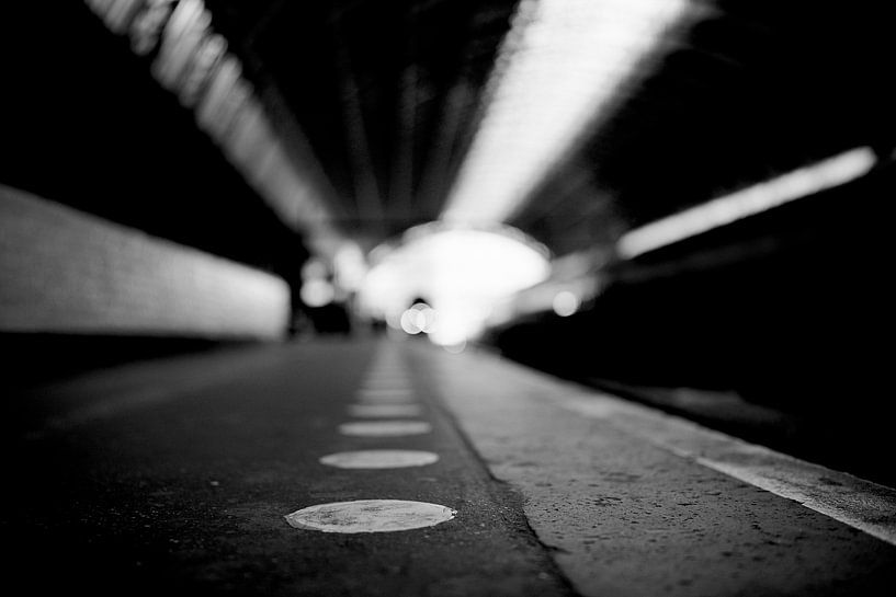 Platform by Bart Rondeel