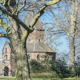 Nijmegen met Waalbrug en Valkhof Kapel van Caroline Drijber