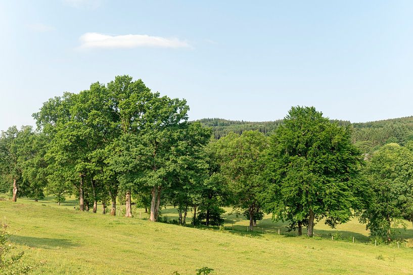 Belgien Landschaft von Richard Wareham