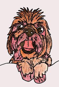 Hund