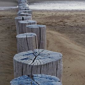 Poteaux de plage sur Romuald van Velde