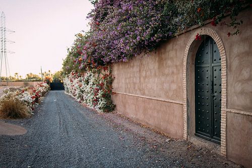 1001 flowers