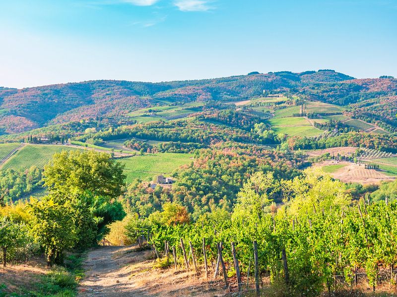 Toskana Landschaft von Mustafa Kurnaz