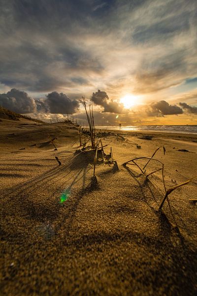 Das letzte bisschen Sonne von Ard Jan Grimbergen