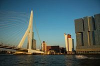 Rotterdam bij zonsondergang